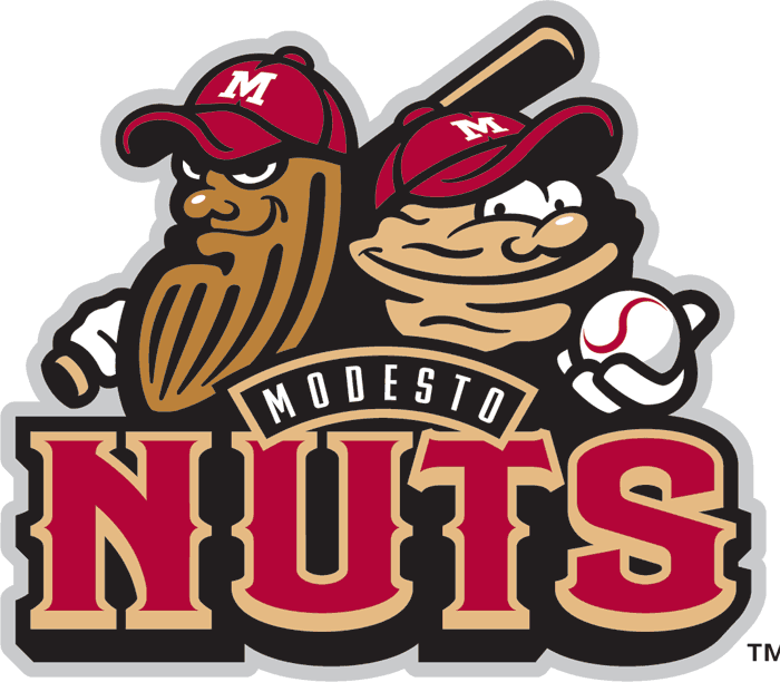 Modesto Nuts 2005-Pres Primary Logo iron on paper